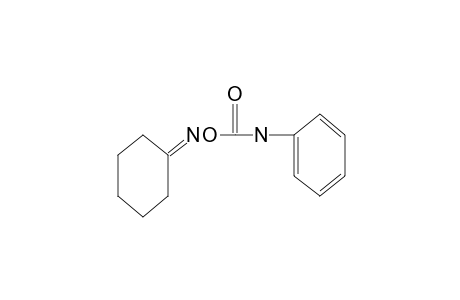 cyclohexanone, O-(phenylcarbamoyl)oxime