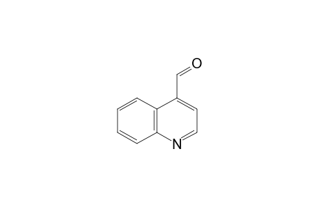 Cinchoninaldehyde