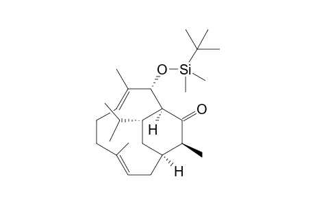 (1R,3E,7E,9R,10S,12S,14R)-9-(tert-Butyldimethylsilyloxy)-14-isopropyl-4,8,12-trimethylbicyclo[8.2.2]tetradeca-3,7-dien-11-one