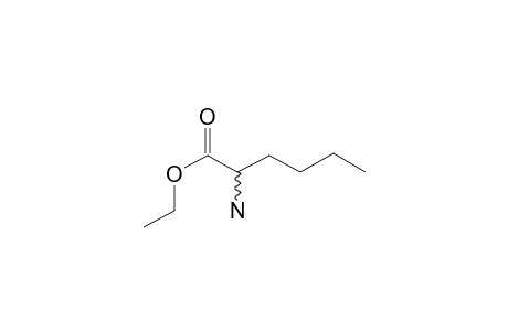 dl-Norleucine, ethyl ester