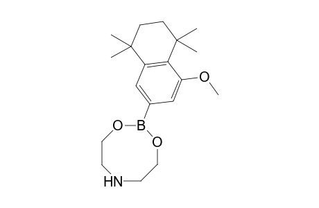 2-(4-Methoxy-5,5,8,8-tetramethyl-5,6,7,8-tetrahydronaphthalen-2-yl)-1,3,6,2-dioxazaborocane