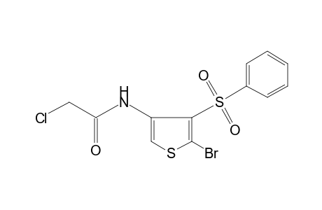 N-[5-bromo-4-(phenylsulfonyl)-3-thienyl]-2-chloroacetamide