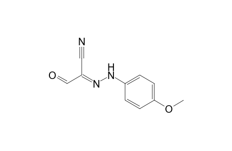 2-[(4'-Methoxyphenyl)hydrazono]-3-oxopropionitrile