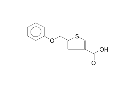 2-Phenoxymethyl-4-thiophen-carboxylic-acid