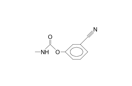 META-CYANOPHENYL-N-METHYLCARBAMATE