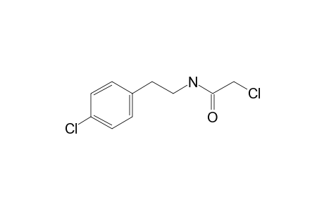 2-Chloro-N-[2-(4-chlorophenyl)ethyl]acetamide