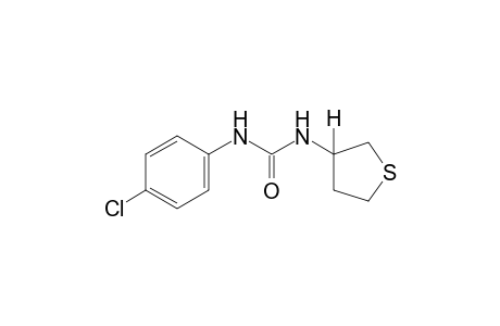 1-(p-chlorophenyl)-3-(tetrahydro-3-thienyl)urea