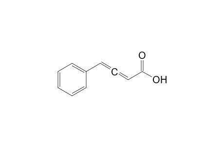 4-PHENYL-2,3-BUTADIEN-1-OIC-ACID