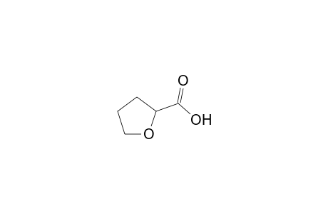 Tetrahydro-2-furancarboxylic acid