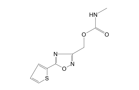 5-(2-thienyl)-1,2,4-oxadiazole-3-methanol, methylcarbamate (ester)