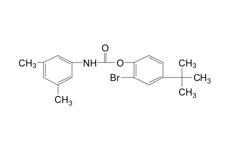 3,5-dimethylcarbanilic acid, 2-bromo-4-tert-butylphenyl ester