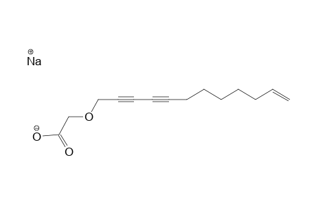 MONTIPORIC-ACID-C;SODIUM-2-O-(11-DODECENE-2,4-DIYNYL)-2-HYDROXY-ETHANOATE