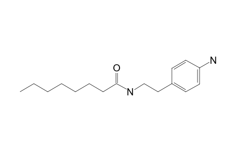 N-(4-aminophenethyl)octanamide