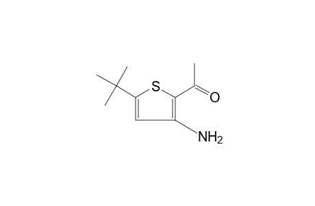 3-amino-5-tert-butyl-2-thienyl methyl ketone