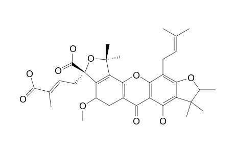 SCORTECHINONE_X