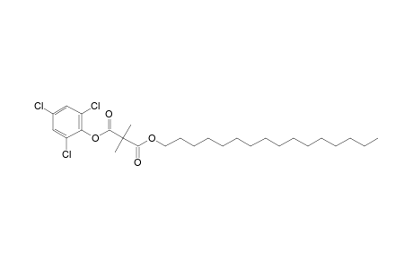 Dimethylmalonic acid, hexadecyl 2,4,6-trichlorophenyl ester