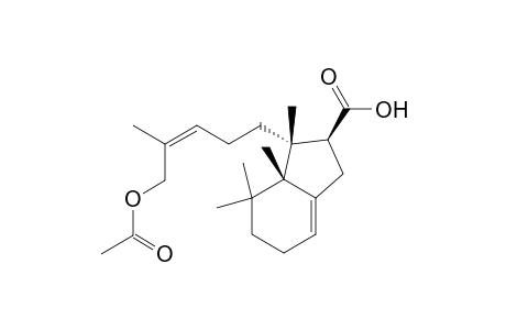 16-Acetoxyanisotomenoic acid