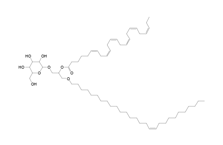 MGDG O-28:1_24:6