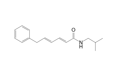 N-(2-Methylpropyl)-6-phenyl-2-(E),4-(E)-hexadienamide