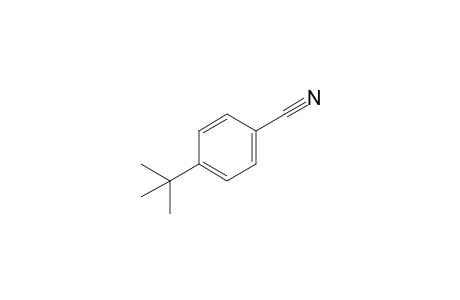 4-tert-Butylbenzonitrile