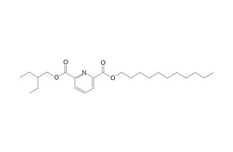 2,6-Pyridinedicarboxylic acid, 2-ethylbutyl undecyl ester