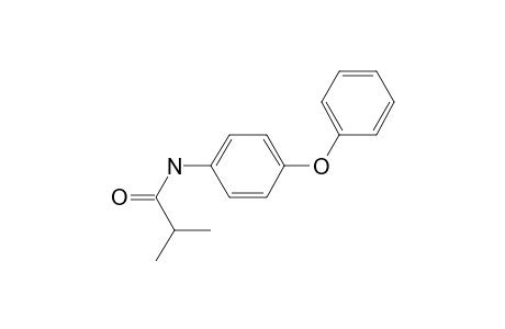 Isobutyramide, N-(4-phenoxyphenyl)-