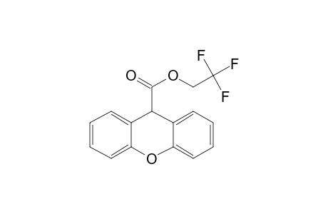 9-Xanthenecarboxylic acid, 2,2,2-trifluoroethyl ester