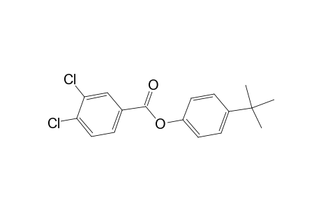 3,4-dichlorobenzoic acid, p-tert-butylphenyl ester