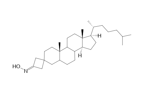 (3' E)-3'-(Hydroxyimino)spiro[ 5.alpha.-cholestane-3,1'-cycobutane]