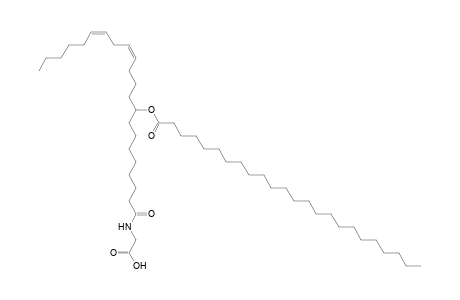 NAGly 24:0/22:2