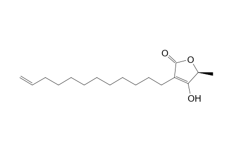 Rotundifolide A