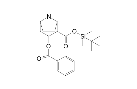 Cocaine-M TBDMS