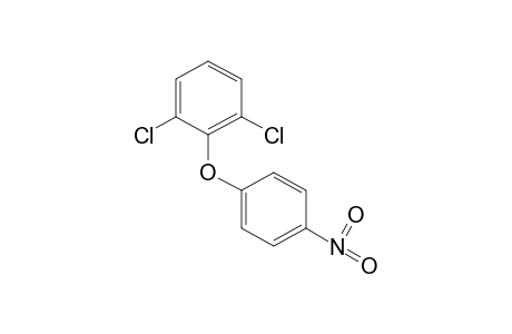 2,6-dichlorophenyl p-nitrophenyl ether