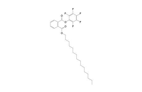 Phthalic acid, hexadecyl pentafluorophenyl ester