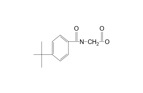 p-tert-BUTYLHIPPURIC ACID