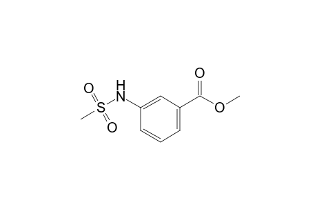 m-(methanesulfonamido)benzoic acid, methyl ester