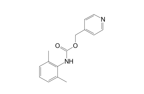 2,6-dimethylcarbanilic acid, (4-pyridyl)methyl ester