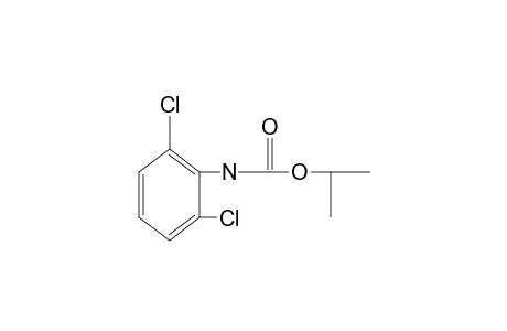 2,6-dichlorocarbanilic acid, isopropyl ester