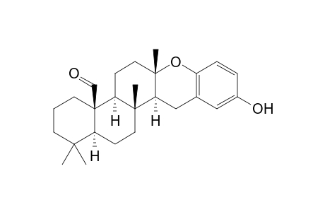 STRONGYLOPHORINE-24