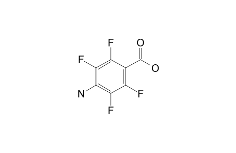 4-Amino-2,3,5,6-tetrafluorobenzoic acid