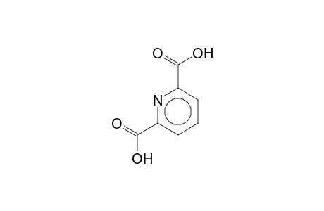 2,6-Pyridine dicarboxylic acid