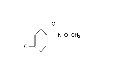 N-(allyloxy)-p-chlorobenzamide