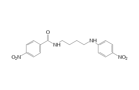 p-nitro-N-[4-(p-nitroanilino)butyl]benzamide
