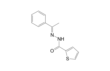 N'-[(E)-1-phenylethylidene]-2-thiophenecarbohydrazide