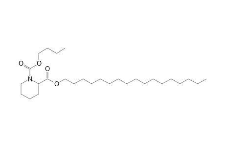 Pipecolic acid, N-butoxycarbonyl-, heptadecyl ester