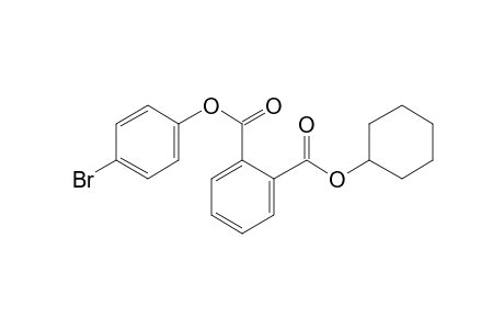 Phthalic acid, 4-bromophenyl cyclohexyl ester