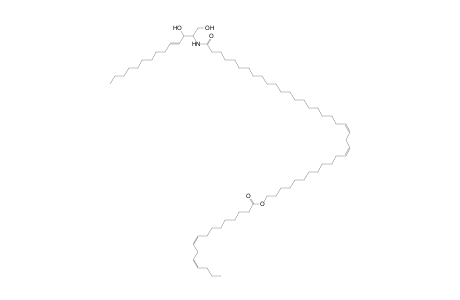 Cer 14:1;2O/36:2;O(FA 16:2)