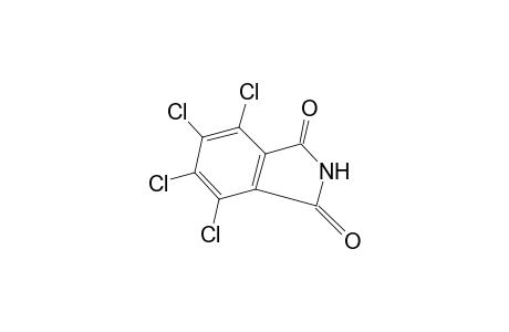 3,4,5,6-Tetrachlorophthalimide