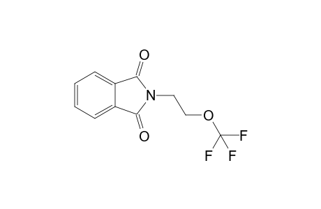 2-[2-(trifluoromethoxy)ethyl]isoindoline-1,3-quinone