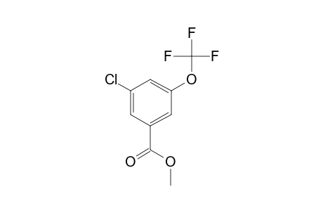 3-Chloro-5-(trifluoromethoxy)benzoic acid, methyl ester